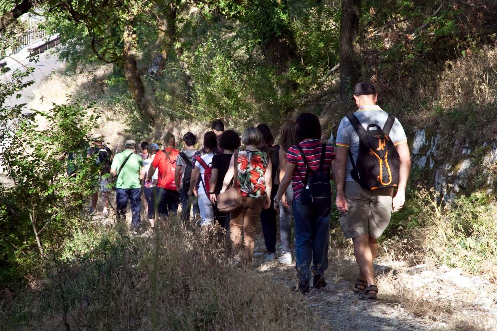 L'immagine digitale in oggetto è parte della collezione “Puglia Green Hour” nata dall'omonimo progetto di Teatro Pubblico Pugliese. Fu organizzato su un calendario fitto e intenso di spettacoli programmati tra giugno e luglio 2012 all'interno dei Parchi Regionali della Puglia, per parlare di arte, musica, teatro e filosofia ispirati dalle bellezze primordiali del paesaggio pugliese in aree territoriali spesso dimenticate o poco valorizzate. La fotografia immortala un momento della passeggiata lungo la via dei pellegrini nota come “la Via Sacra dei Longobardi”, antico percorso di origine medievale che unisce Mont Saint Michel, in Francia, al santuario di San Michele Arcangelo di Monte Sant'Angelo in provincia di Foggia. Questa esperienza, come in tutti gli appuntamenti i...