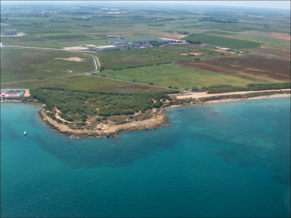 Il sito di Punta Patedda ricade nel comune di Brindisi e nell'ambito paesaggistico della Campagna Brindisina, comprendente la vasta pianura che da Brindisi si estende verso l'entroterra, sin quasi a ridosso delle Murge tarantine, e compresa tra l'area della Murgia dei Trulli a ovest e il Tavoliere Salentino ad est. Si caratterizza, oltre che per la quasi totale assenza di pendenze significative e di forme morfologiche degne di importanza, per l'intensa antropizzazione agricola del territorio e per la presenza di cinque zone umide costiere, Torre Guaceto, Canale Gianicola, invaso del Cillarese, Fiume Grande e Paduli di Punta della Contessa, tutti in corrispondenza delle foci delle diverse incisioni erosive, che si sviluppano in direzione N-S, rispetto alla costa. La cost...