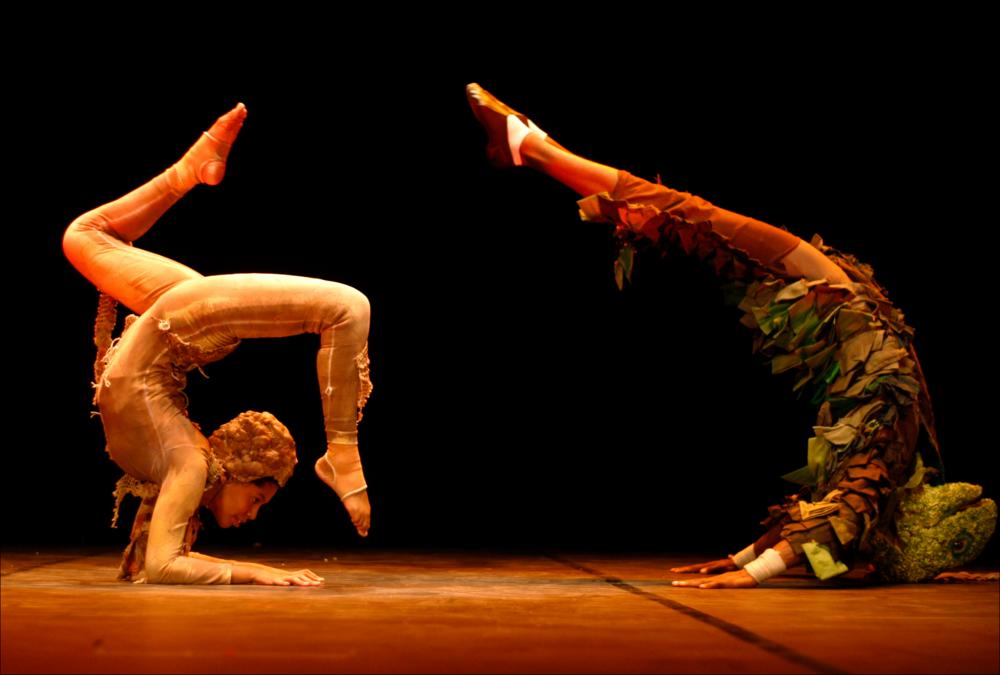 L'immagine fa parte di “Primavera dei Diritti", collezione digitale che raccoglie foto e video dell'omonima manifestazione promossa dalla Regione Puglia - Assessorato al Mediterraneo e realizzata dal Teatro Pubblico Pugliese dal 18 al 28 febbraio 2010 a Bari. Lo scatto ritrae due giovani contorsionisti in costume durante l'esecuzione del loro numero a corpo libero, durante un momento dello spettacolo messo in scena dalla scuola di Circo Social “Crescer e Viver” di Rio de Janeiro, che ha concluso la prima giornata di "Primavera dei Diritti". Guidati dalla regia di Boris Vecchio nove giovani della Compagnia hanno presentato uno spettacolo di repertorio che unisce scene degli spettacoli “Vita d'Artista - L'Arte di Costruire uno Spettacolo” (2007, Direzione di Alice Viveiro...