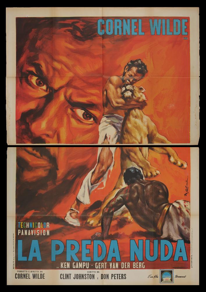 “La preda nuda” è un film statunitense del 1966 diretto da Cornel Wilde, che ne è anche l'attore protagonista, su sceneggiatura di Clint Johnston e Don Peters.
Il manifesto è a firma di Marcello Colizzi (M. Colizzi) tra i maggiori rappresentanti dei cartellonisti italiani del cinema, figlio d’arte, ricordiamo il padre Gioacchino Colizzi (Attalo). Colizzi vanta un repertorio di circa 300 manifesti per il cinema nazionale ed internazionale, a firma sia personale che sotto lo studio professionale d’arte e di fotografia di Ercole Brini. Colori dalle tinte infuocate caratterizzano la scena di lotta selvaggia tra uomini e animale, in una composizione pittorica carica di tensione e dinamicità.
Il manifesto originale è conservato nell’Archivio della Mediateca Regionale Pugliese...