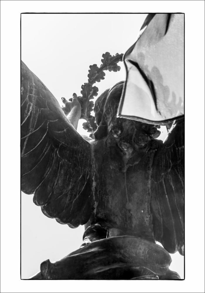 L'immagine digitale mostra un particolare del Monumento ai Caduti a Canosa di Puglia. Nello specifico è immortalato un particolare dell'allegoria della Vittoria come donna alata, ripresa dal retro mentre innalza la corona d'alloro. È possibile risalire all'iter che ha portato alla costruzione del monumento partendo dalla lettura del carteggio custodito presso l'Archivio Storico Comunale di Canosa di Puglia. Rispondendo ad un bando pubblico emanato dal Comune di Canosa sulla "Gazzetta di Puglia", Francesco Pinto si propone come scultore per la realizzazione del monumento. In una lettera, datata 4 settembre 1924, Pinto dichiara di essere disposto a "recarsi sul posto, anche per rendersi conto dell'ubicazione del monumento da erigere essendo molto utile la conoscenza della...