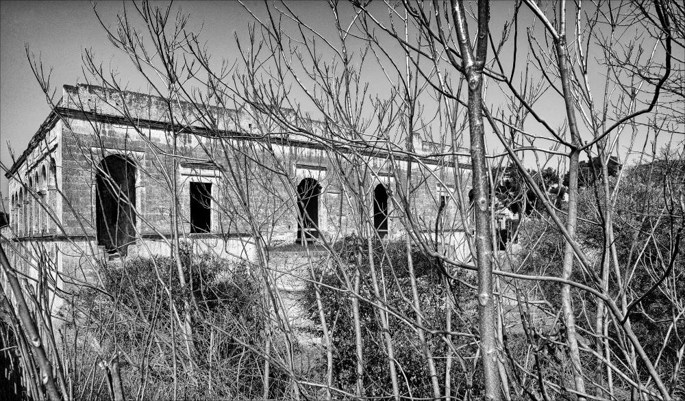 La fotografia è parte di una più ampia raccolta di fotografie realizzate per il progetto di censimento di 248 masserie pugliesi avviato da Giancarlo Chielli, professore del corso in Beni Culturali e Ambientali presso l'Accademia di Belle Arti di Bari. Il lavoro svolto ha dato vita al volume “Le masserie di Puglia come Bene Culturale” in cui sono presenti alcuni scatti di masserie pugliesi tra cui quella in oggetto. Situata in pieno contesto urbano, sul cavalcavia che unisce Viale Papa Giovanni XIII e Viale Pasteur a Bari dove un tempo si trovava la lama Lamberti, la masseria si presenta in evidente stato di abbandono, come ben si può notare dallo scatto, nel sapiente gioco di contrasti e grigi scuri dato dall'autore nel lavoro di post-produzione e nell'angolatura scelta...