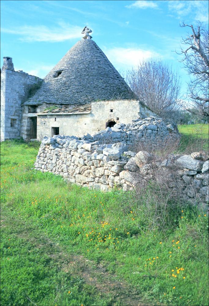 La fotografia è parte della ricca raccolta fotografica “Puglia per tutte le Stagioni” vol. 2, prodotta dall'Assessorato al Turismo e Industria Alberghiera della Regione Puglia, per raccontare la Puglia attraverso immagini suddivise in 5 settori principali: Città e Paesi, Settimana Santa, Territorio, Feste – Sagre – Tradizioni, Mercati – Prodotti – Cucina. L'autore dello scatto fotografico ci offre uno scorcio tipico ed inconfondibile della campagna pugliese, l'immagine in oggetto, infatti, raffigura uno dei numerosi trulli rurali che popolano ancora oggi le campagne della Valle d'Itria, territorio, quest'ultimo, della Puglia centrale a sud dell'altopiano della Murgia barese. Il verde dell'erba e l'azzurro del cielo mettono maggiormente in risalto il colore chiaro della ...