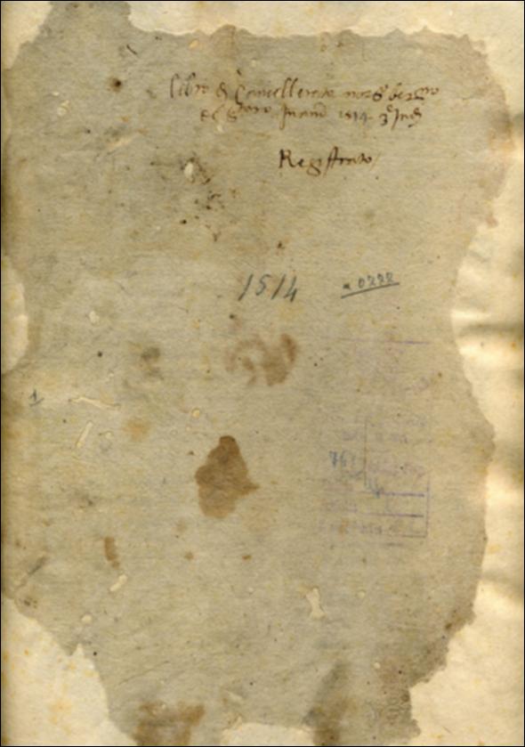 Il documento digitale riproduce il “Libro de Cancellerato, notario Bernardino De Santoro in anno 1514, terza indictione. Registrato” appartenente al fondo manoscritti della Biblioteca Comunale Sabino Loffredo di Barletta. Il volume cartaceo, rilegato in cartoncino e ricoperto in pergamena, conservato in un contenitore di cartone rigido composto, contiene le copie delle Conclusioni del Consiglio dell'Università (Comune) di Barletta. Distinte per oggetto e materia cui si riferiscono, le prime 64 pagine sono relative al notar Bernardino de Santoro e risalgono agli anni 1514-1515, mentre le restanti fanno riferimento al notar Carlo Riso e risalgono al 1521-1522. Gli ultimi due fogli sono di mano e di quaderno diversi e risalgono al 1523.