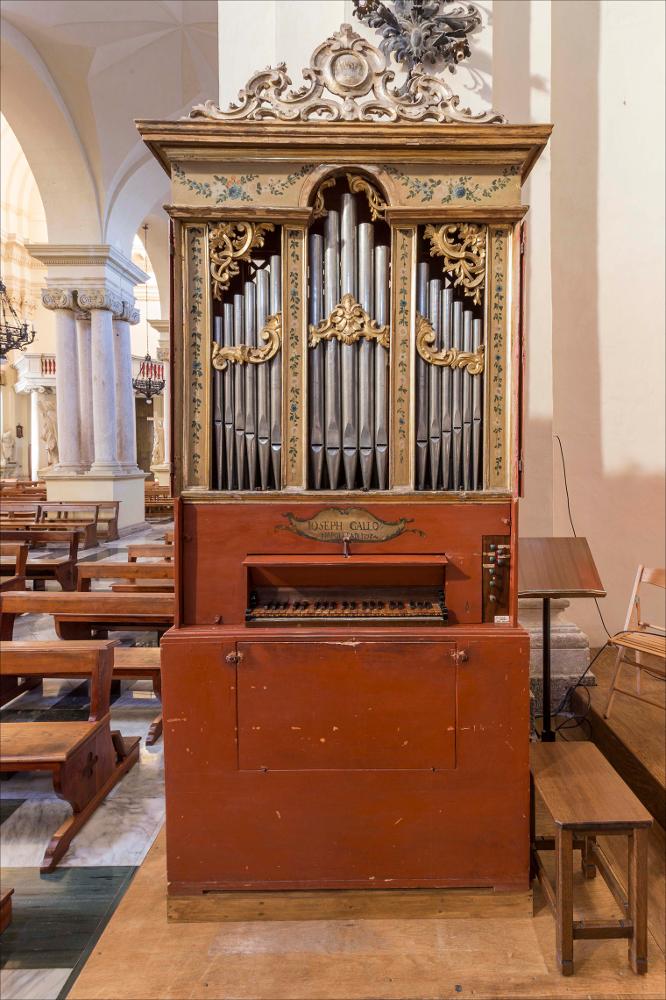 L'organo rappresentato nell'immagine digitale è collocato nella chiesa del Santissimo Salvatore, costruita dall'architetto Felice De Palma di Alessano (LE) sui resti di una chiesa precedente nel 1763, quando il vescovo Dioniso Latoma Massa pone la prima pietra, inaugurando così il nuovo cantiere che comportò la demolizione di parte delle mura e della porta della città. La facciata invece è opera dell'ing. Benedetto Torsello ed è di stile dichiaratamente neoclassico. Dedicata al patrono della città San Trifone, come testimonia la presenza di una tela di San Trifone in Gloria del pittore alessanese Orazio Letia, al suo interno sono presenti altre opere interessanti, tra cui l'arcangelo Gabriele e Tobiolo di Paolo Finoglio; tra gli arredi lignei invece si distinguono il pu...