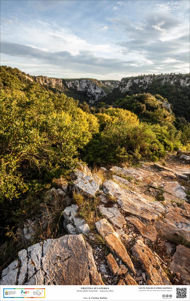 In questo scatto vengono evidenziate le emersioni di rocce calcaree tipiche di questo territorio che custodiscono al loro interno i misteri di un passato preistorico ancora da scoprire. Dal 1999, LIPU ha istituito L'Oasi Gravina Laterza, importante perché rappresenta un habitat unico dove è possibile veder volteggiare i maestosi Capovaccai (gli avvoltoi degli egizi) e più agili grillai, che percorrono in lungo e in largo la gravina, mentre in primavera riecheggia il canto melodioso del Passero solitario e la Monachella, che si esibisce nei suoi voli nuziali.
L’immagine digitale fa parte della raccolta di fotografie prodotte da Carlos Solito per il Progetto digitale “Sillabario sotterraneo – Viaggio dantesco nelle Grotte di Puglia” – realizzato nell’ambito della LEGGE RE...