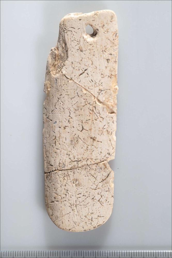 <div class="ql-editor"><div>La spatola in osso, proveniente dal sito di Sant’Anna, era probabilmente utilizzata dagli artigiani per lisciare e uniformare la superficie dei recipienti in ceramica prima della cottura. Presenta estremità arrotondate e piatte e un foro nella parte superiore, forse utilizzato per appenderla mediante una cordicella. Le numerose spatole e i punteruoli rinvenuti a Sant’Anna testimoniano la presenza di artigiani specializzati, impegnati nella produzione di manufatti destinati probabilmente allo scambio con altre comunità o a offerte votive. L’esemplare è ricavato da una costa di grande mammifero, la cui specie non è identificabile.</div></div>