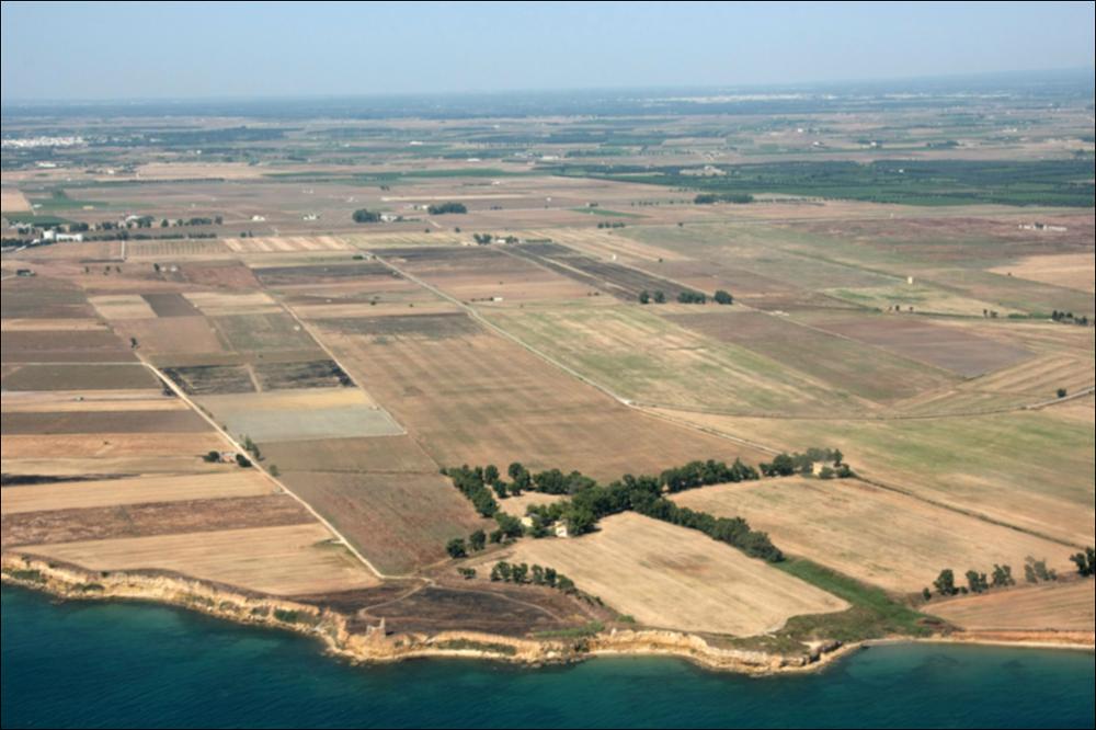 Il paesaggio costiero brindisino si estende da Punta Bufaloria, al confine tra Carovigno e Brindisi, a Campo di Mare, al confine tra S. Pietro Vernotico e Torchiarolo, e ricade nei confini amministrativi di Carovigno, Brindisi e S. Pietro Vernotico, comprendendo parte del territorio di S. Vito dei Normanni. La costa brindisina rappresenta il tratto terminale di una pianura incisa da solchi torrentizi poco profondi e delimitata da deboli ondulazioni collinari che degradano verso il mare. Il litorale è basso e caratterizzato da un andamento poco accidentato e piuttosto lineare; sono presenti sia tratti sabbiosi, spesso accompagnati dalla presenza di cordoni dunari, paludi e laghi retrodunari, sia tratti in roccia tenera, con presenza di tratti a falesia. Nonostante lo svi...