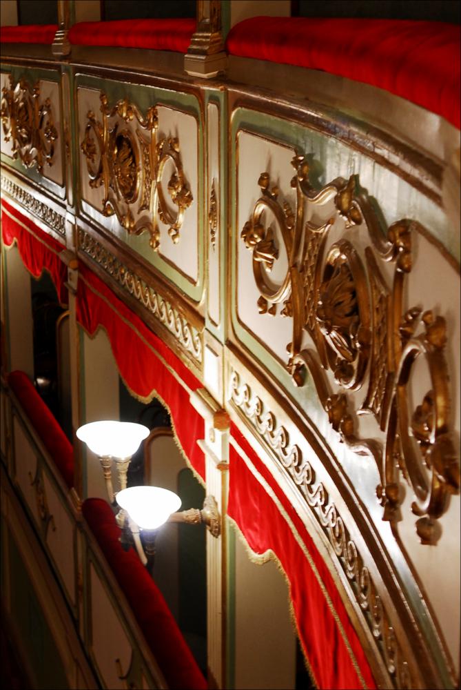 L'immagine è parte della campagna fotografica realizzata dalla fotografa Margherita Mirabella per Teatro Pubblico Pugliese, che con i suoi scatti ha ripreso le eleganti architetture e i rifiniti dettagli di alcuni dei più bei teatri pugliesi e di alcuni spettacoli teatrali portati in scena in questi ultimi anni. La fotografia restituisce il dettaglio di alcune decorazioni realizzate dalla ditta napoletana De Franceschi e Robiony sui parapetti dei palchi del Teatro Paisiello di Lecce nel terzultimo decennio dell'800, quando il teatro viene ricostruito in pietra e completato con delicati elementi decorativi affidati a maestranze napoletane. Nel 1870 il teatro, dedicato al musicista tarantino Giovanni Paisiello, viene inaugurato con la rappresentazione dell'opera “Il ballo...