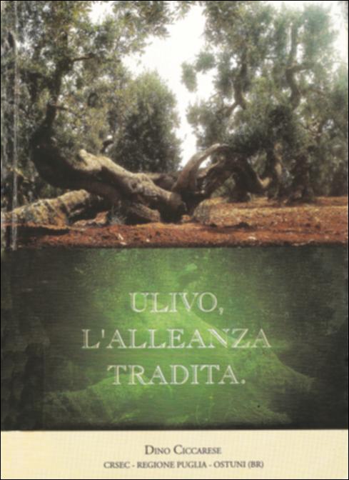 Il volume è parte della grande raccolta denominata “Libri di Puglia”, progetto di digitalizzazione a cura di Nicola Pergola che ha lo scopo di rendere fruibile la produzione editoriale dei Centri regionali di servizi educativi e culturali e degli Assessorati alla cultura e alla Pubblica Istruzione della Regione Puglia, dal 1968 agli anni 2000. Articolato in sei capitoli, e arricchito da foto anche a colori, il volume ripercorre le tappe di dieci anni di impegno speso per la valorizzazione dell'olio d'oliva di qualità del comprensorio ostunese e, più in generale, dell'intera Puglia. Auspicando l'urgente e rigorosa tutela dell'ulivo secolare dell'Alto e Basso Salento, sollecitando la redazione di un testo unico sulla normativa vincolistica vigente, e richiedendo all'UNESC...