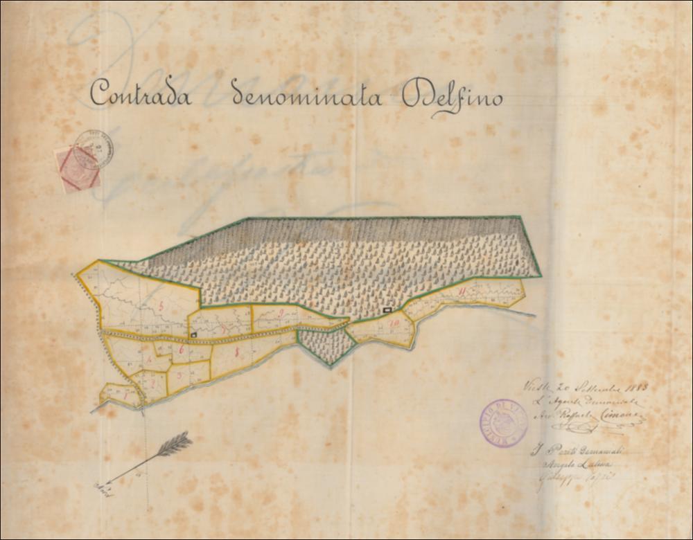 Trattasi di disegno a colori su carta lucida datata 20 settembre 1883 redatta dai periti demaniali Angelo Latessa e Giuseppe Torri. La pianta della Contrada appellata Delfino, domina la composizione, incorniciata in alto dal titolo e in basso a sinistra dall'orientamento – rappresentato per mezzo di una semplice freccia indicante il Sud-Est in alto -  a destra dalla scritta certificante data ed autore. Il territorio della Contrada, appare delineato schematicamente e, tuttavia al suo interno non si tralascia di evidenziare il rilievo e l'arborato.  Tutto è ridotto all'essenziale: il confine dei fondi demaniali è evidenziato da una linea spessa di colore verde per le zone boscate, in giallo per le zone soggette a colture. Lo spazio interno è caratterizzato per i boschi da...