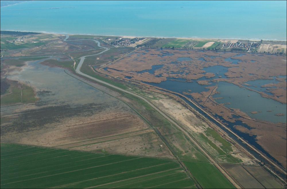 L'area umida del Lago di Salso, ricadente nel comune di Manfredonia, rientra fra le "aree umide costiere del Tavoliere", che si presenta come un paesaggio denso e stratificato di segni d'acqua, dove nonostante le opere di bonifica e canalizzazione delle acque sopravvivono antiche aree palustri. Queste ultime presentano ancora un elevato valore naturalistico ed ecologico, sia per l'importante ruolo di regolazione idraulica dei flussi d'acqua provenienti dall'Appennino, sia per lo sviluppo di associazioni faunistiche e floristiche di pregio. Questo paesaggio con i suoi segni, le sue trame, le divisioni fondiarie che strutturano il sistema degli orti aperti, hanno un valore spaziale e paesaggistico che va salvaguardato, mantenendo inalterate le forme e i materiali in esso ...