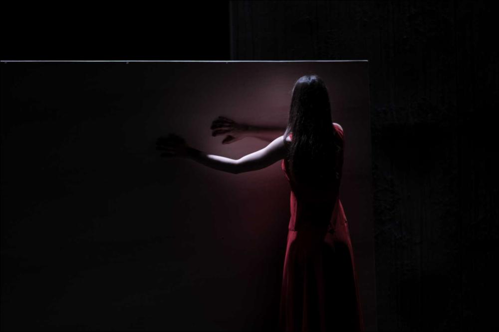 La fotografia in oggetto, ad opera di Alessandro Serra, immortala un momento dello spettacolo “Frame”, spettacolo messo in scena dalla compagnia teatrale Koreja di Lecce con la co-produzione della Compagnia Teatropersona. Frame è uno spettacolo che abbraccia arte e teatro, ispirato nelle scene alle opere dell'artista statunitense Edward Hopper. Una vera e propria immersione nel mondo e nelle opere dell'artista attraverso la descrizione di momenti, persone e frammenti che scandiscono la vita quotidiana dell'uomo contemporaneo. Non ci sono voci ad animare la scena, ma luci, suoni, abiti che riescono a coinvolgere lo spettatore, rendendo lo spettacolo simile ad una visita museale e lo spettatore diviene fruitore che insieme vive e crea l'opera. In questa fotografia, l'attr...