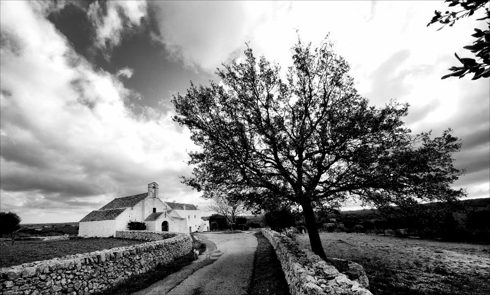 L'istantanea in oggetto, scattata in bianco e nero e successivamente post prodotta, fa parte di una più ampia raccolta di fotografie realizzate per il progetto di censimento di 248 masserie pugliesi avviato da Giancarlo Chielli, professore del corso in Beni Culturali e Ambientali presso l'Accademia di Belle Arti di Bari. Il lavoro svolto ha dato vita al volume “Le masserie di Puglia come Bene Culturale” in cui sono presenti alcuni scatti di masserie pugliesi. La fotografia cattura in lontananza Santa Maria del Barsento, l'antica basilica inglobata nel complesso architettonico di Masseria I Monti, edificata tra l'XI e XII secolo riprendendo a pieno i canonici stilemi del romanico, mentre fonti storiche datano la masseria al XVI secolo. Al suo interno la basilica, divisa ...