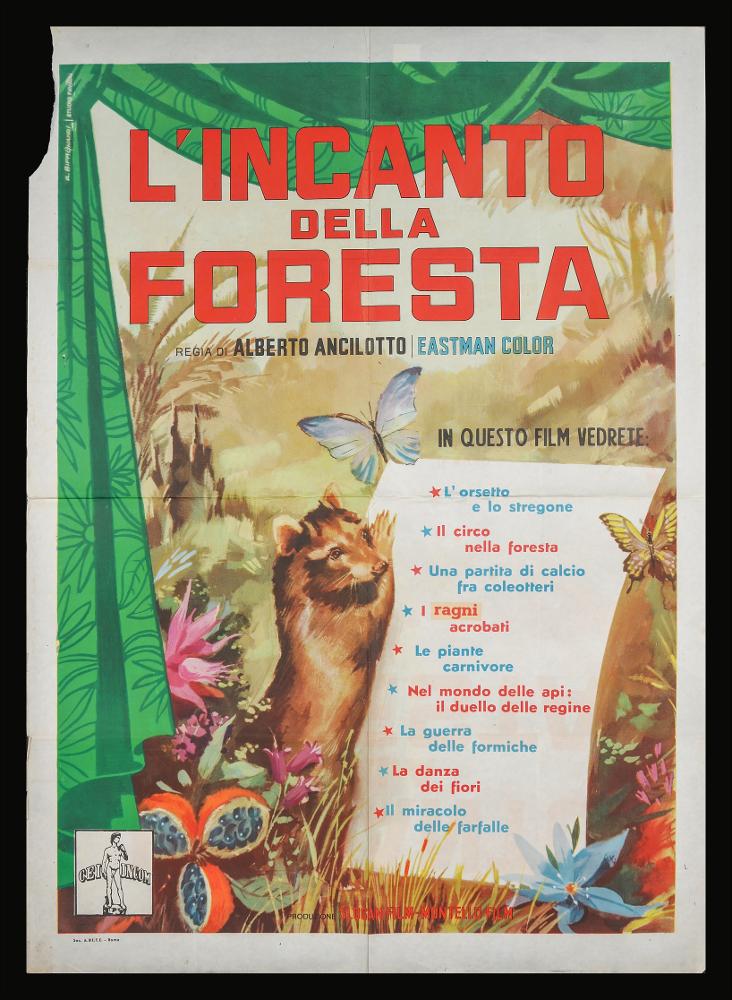 L'immagine riproduce uno dei manifesti conservati presso la Mediateca Regionale Pugliese (vedi Note). Si tratta di una delle versioni grafiche del manifesto del film-documentario “L'incanto della foresta” del 1957 per la regia di Alberto Ancillotto a firma di Biffignani (Alessandro Biffignani) per lo Studio Favalli. Dopo essersi formato negli studi di Averardo Ciriello, dei fratelli Nistri e di Augusto Favalli, cominciò a lavorare nel campo dell’illustrazione e del fumetto, principalmente come copertinista per diverse testate italiane, ma anche estere (la britannica Fleetway e la francese Lug). Si confronta con generi differenti: dal bellico al western, dall’avventuroso all’horror. Si dedicò anche alla pittura ad olio, realizzando quadri, copertine di libri, illustrazio...