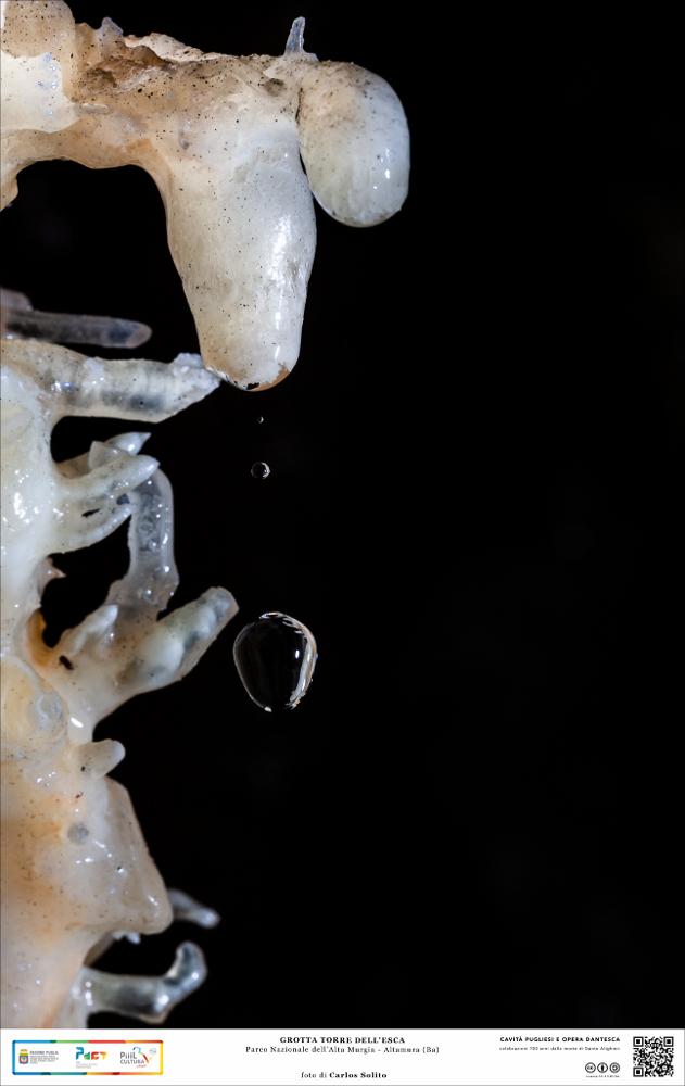 Questa splendida immagine ritrae il momento della caduta di una goccia di acqua, che con la sua forza nascosta è capace di costruire articolati depositi rocciosi a forma di pinnacolo, che sorgono dal suolo o dal soffitto.
La grotta di Torre dell'Esca ad Altamura (BA) fu scoperta a seguito di una puntuale campagna di ricerca negli anni ’50, individuandone l’imbocco proprio al margine della sede stradale (attuale S.S. 96). Oggi è una delle perle del patrimonio speleologico e naturalistico della Murgia altamurana.
L’immagine digitale fa parte della raccolta di fotografie prodotte da Carlos Solito per il Progetto digitale “Sillabario sotterraneo – Viaggio dantesco nelle Grotte di Puglia” – realizzato nell'ambito della LEGGE REGIONALE 30 dicembre 2020 - art. 39 “Cavità pugli...