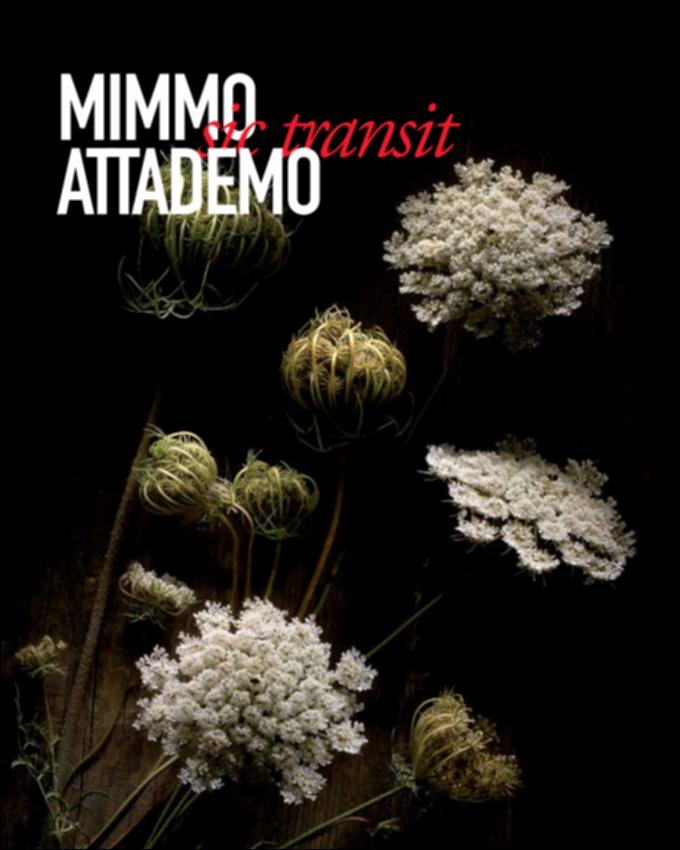 La risorsa digitale è il catalogo della raccolta fotografica "Sic transit", ideata nel 2015 all'interno della Cattedra di Fotografia dell'Accademia di Belle Arti di Bari dal Prof. Mimmo Attademo. Il progetto, concepito come un erbario dei nostri giorni, esalta il valore naturalistico di alcune piante e fiori della macchia mediterranea che contraddistinguono alcune aree territoriali della Puglia. Il catalogo contiene alcune immagini del progetto e un testo introduttivo che racconta come nasce l'idea delle fotografie e dei beni naturalistici rappresentati. Il fotografo Mimmo Attademo e l'artista Teo De Palma provano a ragionare sull'idea di memoria, passato, del tempo che svanisce, attraverso uno sguardo inusuale sulla natura, "a rischio di fare confusione tra il marciume...