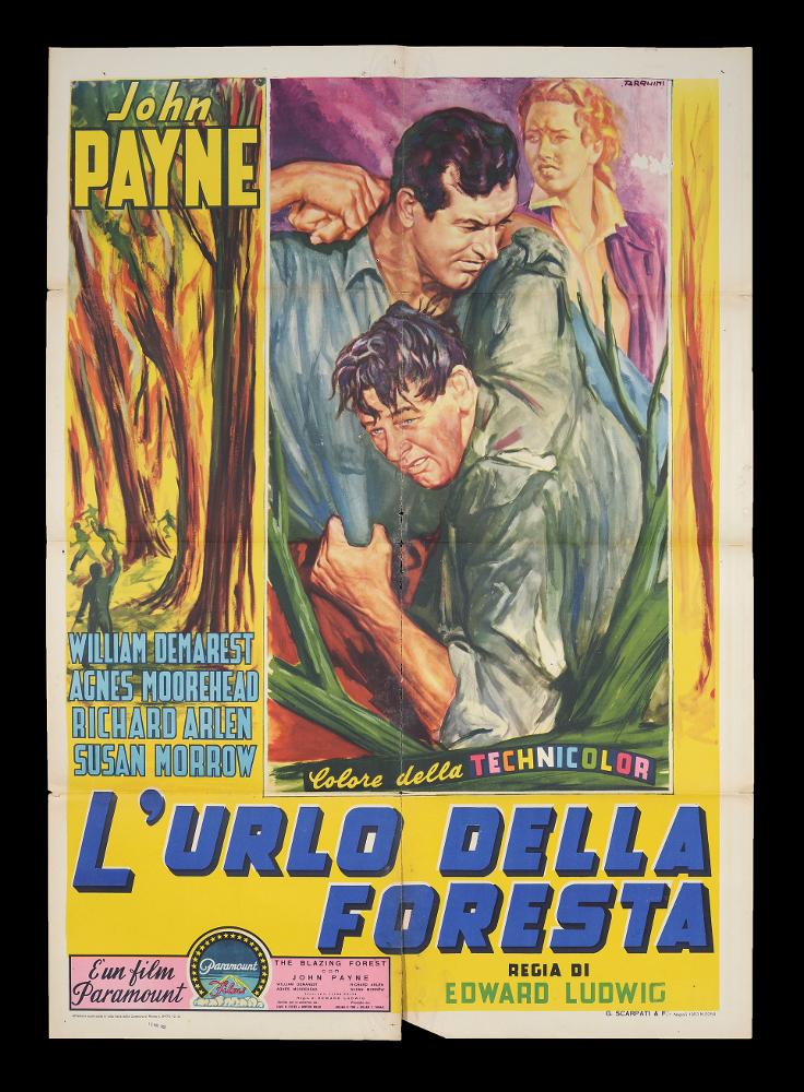 L'immagine riproduce uno dei manifesti conservati presso la Mediateca Regionale Pugliese (vedi Note). Si tratta di una delle versioni grafiche del manifesto del film americano degli anni '50 “L'urlo della foresta”, a firma dell’illustratore Tarquini (Tarquini Paolo), "Pittore non Pittore" come lui stesso si definì, fu un artista che condivise la sua arte con il padre Sabatino ed i fratelli Luigi e Glauco. Il suo stile etereo dalle ambientazioni impalpabili e sognanti si ritrova anche in questa composizione; le scene sono delineate qui nettamente dall'uso del colore giallo intenso che fa da sfondo e dalla sottile linea bianca che incornicia la scena drammatica con i tre protagonisti. Le pennellate vibranti e veloci fatte di molte sfumature e colori sono caratteristica de...