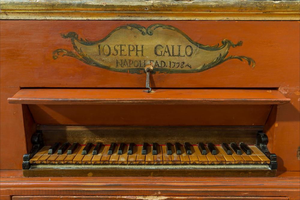 L'immagine digitale cattura un dettaglio dell'organo, collocato nella chiesa del Santissimo Salvatore, costruita dall'architetto Felice De Palma di Alessano (LE) sui resti di una chiesa precedente nel 1763, quando il vescovo Dioniso Latoma Massa pone la prima pietra, inaugurando così il nuovo cantiere che comportò la demolizione di parte delle mura e della porta della città. La facciata invece è opera dell'ing. Benedetto Torsello ed è di stile dichiaratamente neoclassico. Dedicata al patrono della città San Trifone, come testimonia la presenza di una tela di San Trifone in Gloria del pittore alessanese Orazio Letia, al suo interno sono presenti altre opere interessanti, tra cui l'arcangelo Gabriele e Tobiolo di Paolo Finoglio; tra gli arredi lignei invece si distinguono...