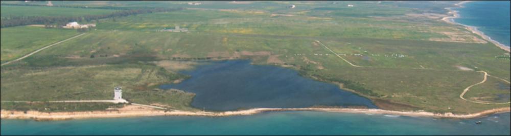 Il paesaggio costiero brindisino si estende da Punta Bufaloria, al confine tra Carovigno e Brindisi, a Campo di Mare, al confine tra S. Pietro Vernotico e Torchiarolo, e ricade nei confini amministrativi di Carovigno, Brindisi e S. Pietro Vernotico, comprendendo parte del territorio di S. Vito dei Normanni. La costa brindisina rappresenta il tratto terminale di una pianura incisa da solchi torrentizi poco profondi e delimitata da deboli ondulazioni collinari che degradano verso il mare. Il litorale è basso e caratterizzato da un andamento poco accidentato e piuttosto lineare; sono presenti sia tratti sabbiosi, spesso accompagnati dalla presenza di cordoni dunari, paludi e laghi retrodunari, sia tratti in roccia tenera, con presenza di tratti a falesia. Nonostante lo svi...