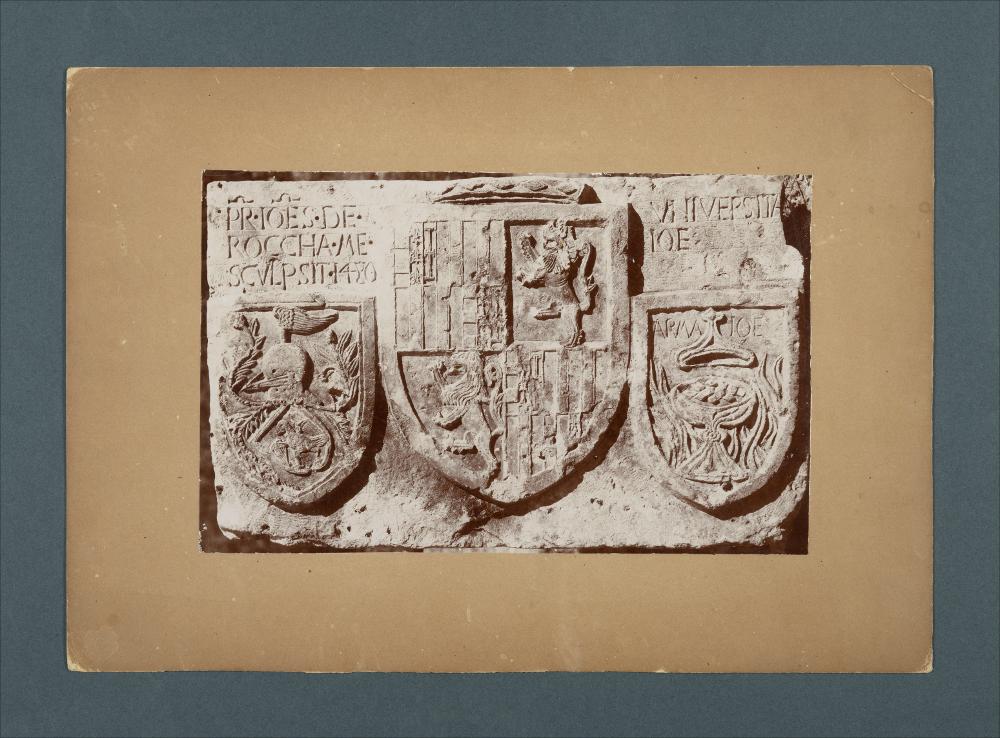<div class="ql-editor"><div><span>Documentazione fotografica dei fratelli De Mattia del bassorilievo con l'Arma Ioe (1480), opera di Giovanni Roccha, conservata attualmente nel Palazzo del Municipio di Gioia del Colle.</span></div><div><span class="ql-cursor">﻿</span>La risorsa fa parte della raccolta fotografica di Giuseppe Ceci (1863-1938), studioso delle arti figurative dell’Italia meridionale e tra i promotori delle Società di Storia Patria di Napoli e della Puglia, si inserisce nel vivace clima culturale dell’Italia postunitaria, caratterizzato dal progressivo consolidarsi di una «coscienza nazionale» alimentata anche dal confronto e dal dialogo con le realtà storiche e culturali locali.</div><div>Oggi la Biblioteca Comunale d...