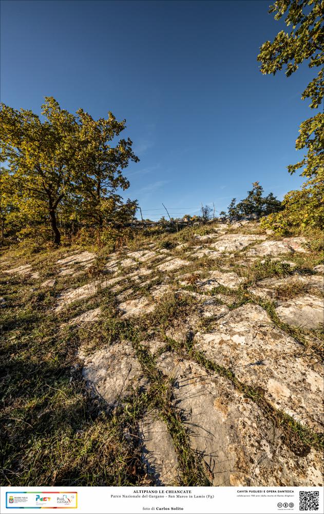 Siamo nel Parco Nazionale del Gargano. La fotografia esalta i tipici affioramenti calcarei dell’Altipiano Le Chiancate in un’area fortemente caratterizzata dal fenomeno carsico. Del tutto singolare è il profilo degli affioramenti dove le pietre, con una forma quasi regolare, sembrano voler suggerire un vero e proprio cammino.
L’immagine digitale fa parte della raccolta di fotografie prodotte da Carlos Solito per il Progetto digitale “Sillabario sotterraneo – Viaggio dantesco nelle Grotte di Puglia” – realizzato nell’ambito della LEGGE REGIONALE 30 dicembre 2020, n. 35 - art. 39 “Cavità pugliesi e opera dantesca - Celebrazioni 700 anni dalla morte di Dante Alighieri”.