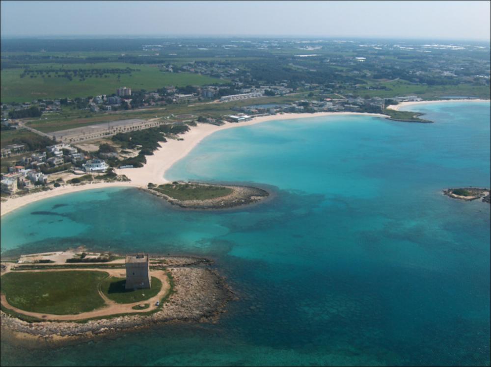 Il litorale jonico del Tavoliere Salentino, nella zona di Porto Cesareo - sito della Riserva Naturale Orientata Regionale “Palude del Conte e duna costiera di Porto Cesareo” - presenta una costa omogenea, caratterizzata da una morfologia bassa, sabbiosa o in roccia tenera con contenute falesie, con un habitat di inestimabile valore botanico e paesaggistico soprattutto il sistema dunare che borda per alcuni chilometri il litorale nord-occidentale, dove la duna conserva ancora un'imponente formazione di ginepri.  Oltre che dal tipico sistema spiaggia/duna a macchia/area umida alimentata da risorgive, questa zona è caratterizzata dalla presenza di isolotti a breve distanza dalla costa, che chiudono parzialmente bacini e spiagge interne. La più nota è l'isola dei Conigli (o...