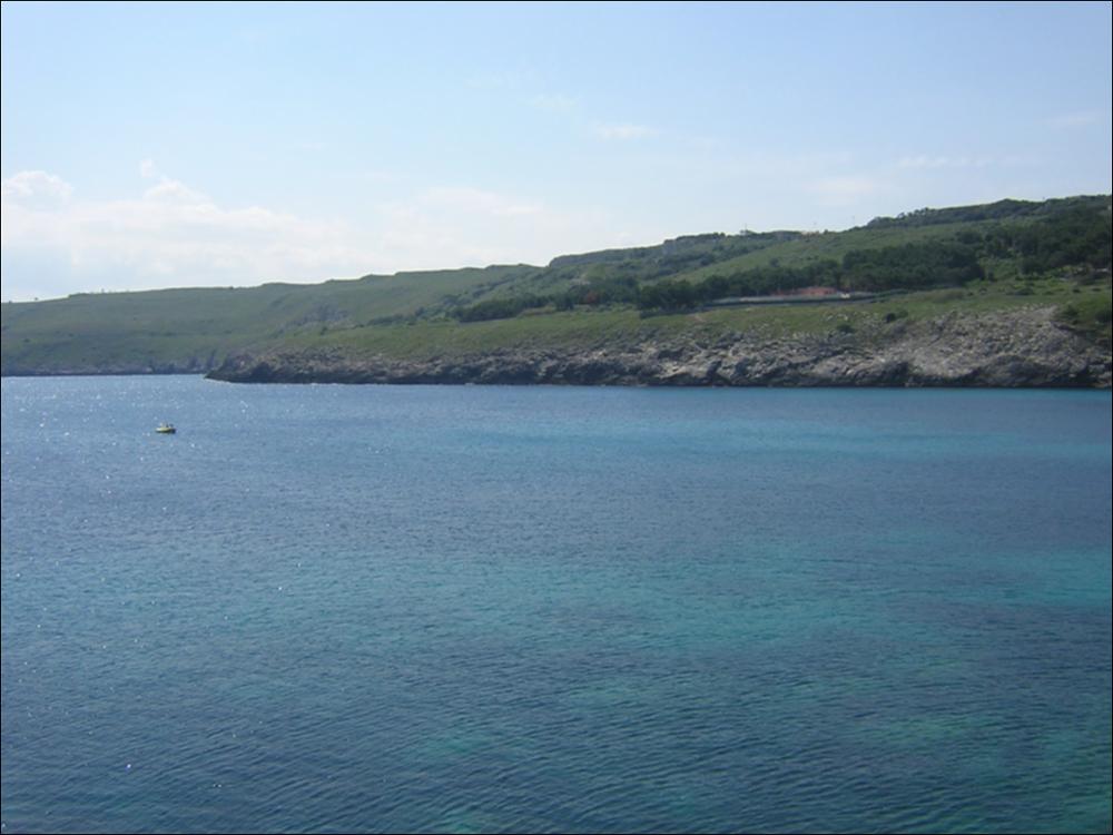 Il comune di Santa Cesarea Terme, rientra nell'ambito paesaggistico del Salento delle Serre. Il tratto di costa che va da Otranto a Leuca rappresenta uno dei più suggestivi paesaggi costieri di tutta la Puglia. Area di eccezionale bellezza paesaggistica vista la presenza di una Riserva Naturale Orientata Regionale. E' un paesaggio di forte impatto paesaggistico e scenografico, l'estesa falesia è continua, alta e rocciosa, ricca di grotte, cavità, incisioni e insenature, che sovente proteggono piccole spiagge sabbiose. Elemento dominante di questo paesaggio sono le serre - modeste dorsali strette ed allungate in direzione NNW-SSE e NW-SE - rilievi che possono raggiungere la quota massima di 200 metri s.l.m.. Le serre occidentali hanno in genere una maggiore evidenza morf...