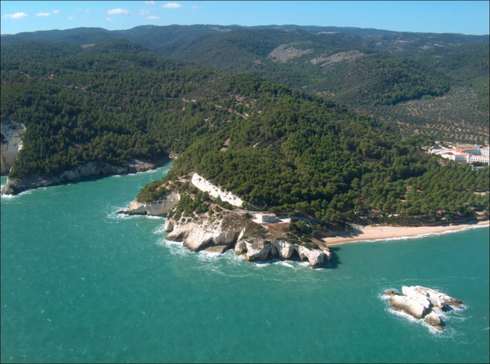 Il comune di Vieste, rientra nell'ambito paesaggistico del Gargano, caratterizzato dall'altopiano calcareo e dai suoi orli terrazzati. Il Gargano presenta una notevole varietà di paesaggi rurali di gran pregio, in gran parte storici e tradizionali, i quali sono il risultato di coltivazioni e tecniche di regimazione e presidio del suolo di tipo tradizionale. La fascia costiera rappresenta un mosaico di morfo-tipologie rurali, che va ad identificare un paesaggio riconoscibile che si struttura a partire dal lago costiero di Varano e arriva fino a Manfredonia. Nella sequenza che va dalla linea di costa verso i rilievi montani, si trovano nella porzione pianeggiante, o la prevalenza di mosaici agricoli, alternato al tipo agricolo periurbano in corrispondenza dei centri, o la...