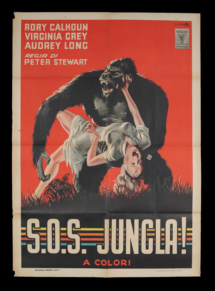 L'immagine riproduce uno dei manifesti conservati presso la Mediateca Regionale Pugliese (vedi Note). Si tratta di una delle versioni grafiche del manifesto del film “S.O.S. Jungla!”, del 1948. L’illustratore del manifesto è Averardo Ciriello, come si evince dalla firma in alto a destra. Emerge il suo tipico tratto pittorico, caratterizzato da un uso del colore in funzione simbolica e fortemente emotiva, con un’attenzione, quasi maniacale, per il dettaglio e le sfumature chiaroscurali. Lo spazio compositivo è chiaro e proporzionato, occupato dall’imponente figura del gorilla in uno dei momenti più tragici del film. Una donna tenta di divincolarsi dalle grinfie dell'animale maestoso e forte, trasmettendo la paura e l'angoscia della scena e dell'intero film; Ciriello non ...