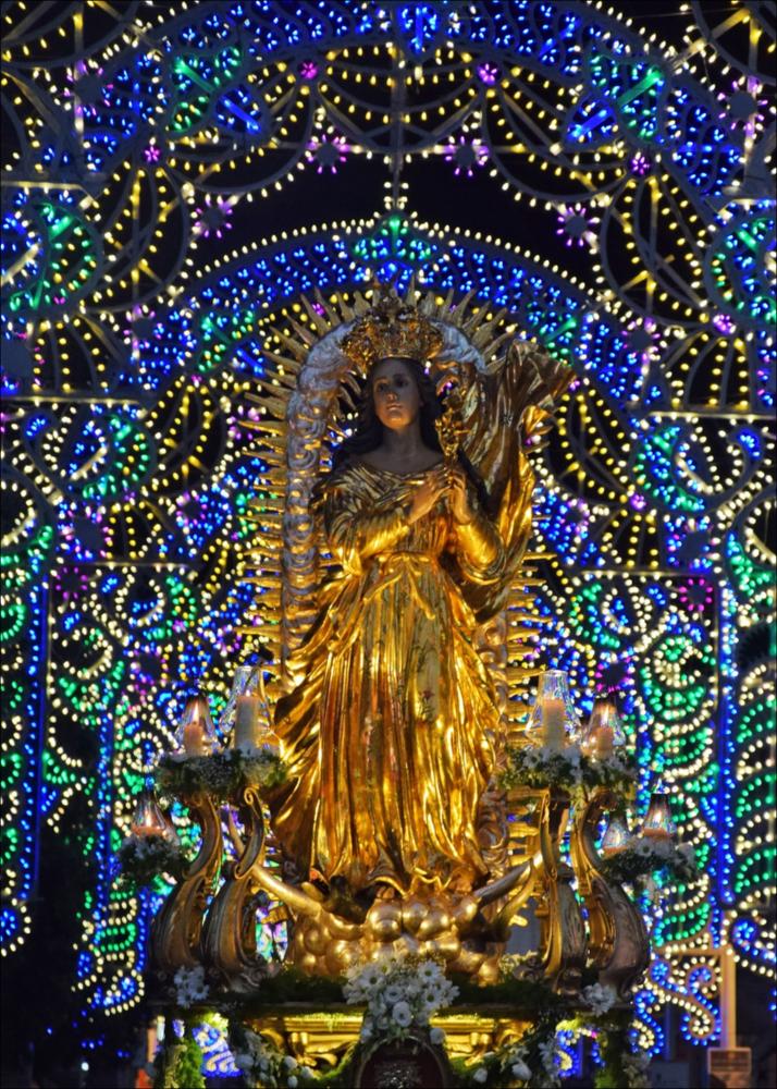 <div class="ql-editor"><div>Lo scatto fotografico mostra la statua di <strong>Maria Santissima Immacolata</strong>, patrona della città di Bitonto.</div><div>La festa patronale in onore della Vergine Immacolata è una delle ricorrenze più sentite dalla comunità di Bitonto. Ogni anno, il 23 maggio, i fedeli si ritrovano ai piedi della statua della Madonna presso Porta Baresana per rinnovare l’antica tradizione legata al cosiddetto “miracolo”.</div><div>La celebrazione si apre con un momento particolarmente suggestivo: lo "scoprimento" della grande tela realizzata dal pittore Gennaro Somma, che raffigura l’apparizione della Vergine al generale spagnolo José Carrillo de Albornoz. Secondo la tradizione, proprio quell&#...
