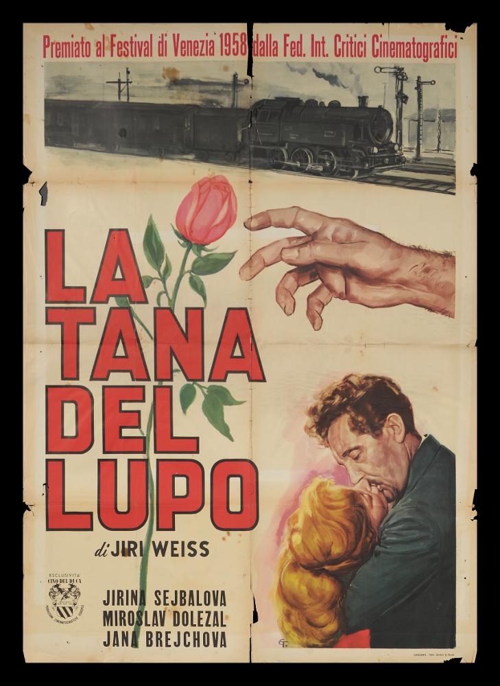 L'immagine riproduce uno dei manifesti conservati presso la Mediateca Regionale Pugliese (vedi Note). Si tratta di una delle versioni grafiche del manifesto del film "La tana del lupo" del 1958 per la regia di Jiri Wiess, premiato al Festival di Venezia dalla "Federazione Internazionale Critici Cinematografici" che lo votò all'unanimità «per la precisione dell'osservazione dell'atmosfera e l'approfondita analisi dei caratteri, e anche per le eccezionali interpretazioni femminili di Jana Brejchova e Jirina Sejbalova». La firma dell'illustratore del manifesto è un piccolo dettaglio, due lettere G e T legate da un nesso posto nella parte finale dell'acconciatura del personaggio femminile. La grafica del manifesto è ben organizzata: su uno sfondo freddo, sabbioso, quasi des...