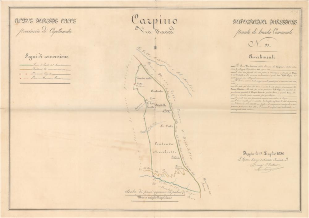 Trattasi di stampa a colori, redatta a Foggia il 13 luglio del 1830, dall'ispettore interno e architetto forestale Lorenzo Avellino. Il documento cartografico inquadrato da una doppia cornice, si sviluppa in senso longitudinale e risulta così tripartito: al centro in alto il titolo, a cui succede la pianta di “Carpino Via Bianca” che domina la composizione racchiusa fra l'orientamento e la scala grafica,  a sinistra un sottotitolo “Acque Foreste Cacce – provincia di Capitanata” a cui succede la legenda della pianta, a destra un ulteriore sottotitolo “Topografia Forestale – Pianta dei Boschi Comunali N. 93” a cui succede una annotazione “Avvertimenti” e la scritta certificante data ed autore. La simbologia è ridotta al minimo, il diverso colore delle linee ha il compito,...