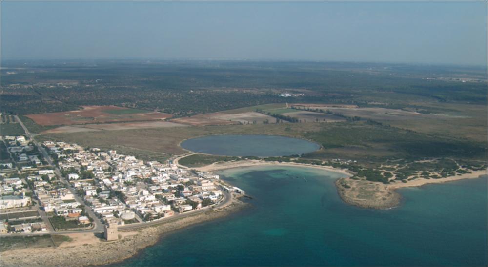 Il comune di Manduria, ricade nel tratto di costa che va da Campomarino fino al promontorio di Punta Prosciutto, che costituisce l'ultimo lembo ad est della provincia di Taranto ed è caratterizzato da rari tratti di scogliera che si alternano ad una costa prevalentemente sabbiosa, bassa ed orlata da dune naturali di sabbia calcarea, che rivestono un elevato valore geologico e scientifico, oltre che paesaggistico. Uno dei siti di maggior pregio naturalistico, è la salina vecchia, nei pressi di Torre Colimena, sottoposta ad interventi di restauro naturalistico. Paesaggio di grande suggestione, nonché area strategica per l'avifauna in transito, lungo le coste dominano salicornieti, limoneti e praterie salate, mentre il cordone dunale è colonizzato da ginepri piegati dal ve...