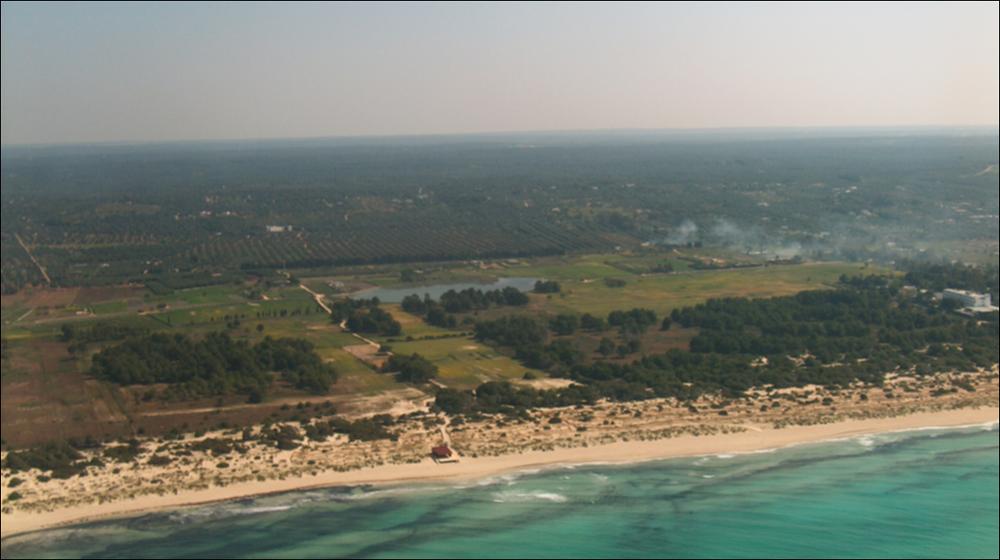 Il paesaggio costiero in cui ricade Ugento si estende da Torre Vado (al confine tra Marciano di Leuca e Salve) all'area di Torre d'Alto Lido (al confine tra Galatone e Nardò). La costa qui presenta caratteristiche notevolmente diverse rispetto al paesaggio costiero adriatico. A partire dalla marina di Salve, sita a nord-ovest di Torre Vado, fino a Torre S. Giovanni, il litorale si presenta prevalentemente sabbioso ed è intervallato solo da brevi tratti di costa rocciosa bassa.  Il Parco Naturale Regionale “Litorale di Ugento” qui istituito, è costituito da una serie di bacini costieri di origine artificiale, realizzati nel periodo delle bonifiche. Intorno ai bacini è presente una vegetazione non nativa di steppa salata. Lungo la fascia costiera è presente un cordone dun...