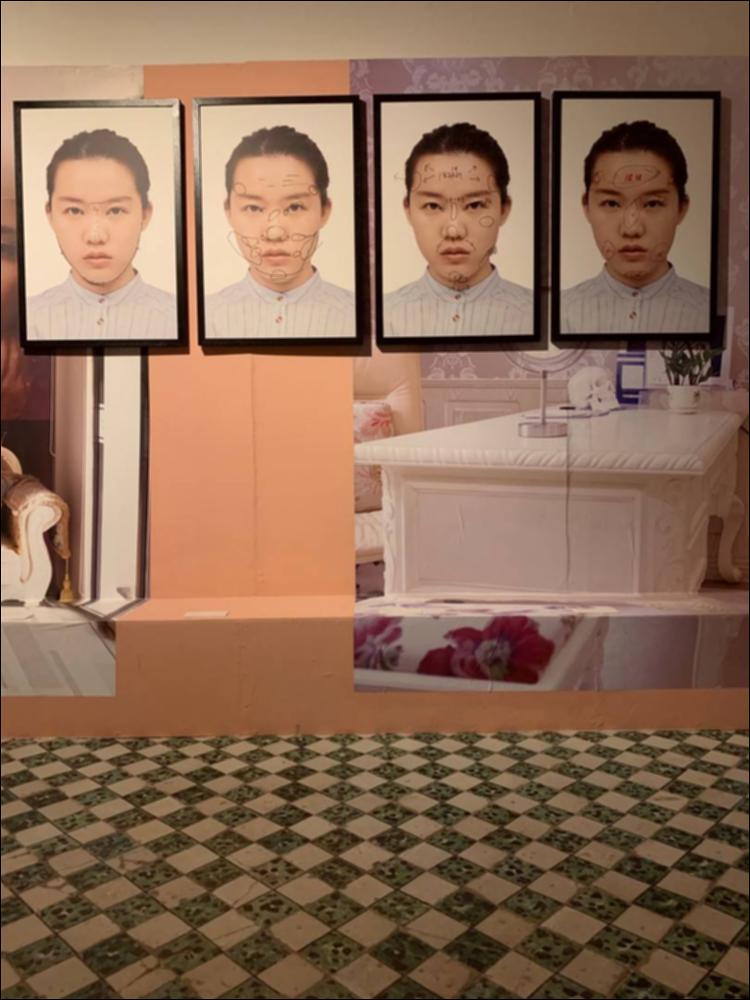 In Palazzo Palmieri alcune stanze si trasformano in sale d’aspetto per la ricerca della bellezza utopica. Yufan Lu si concentra sulla rappresentazione visiva della vita quotidiana. Quello che realizza è un reportage dell'importanza dell’immagine nella società moderna, dove le differenze sono dei difetti da correggere con interventi chirurgici, attraverso tagli e bende. Le 4 fotografie in primo piano sono i bozzetti preparatori per interventi sul viso di ragazza per raggiungere la perfezione. Il tutto immerso in visioni delle sale di aspetto e studi dei guru della bellezza dove è assente la persona, ma il protagonista è lo specchio, dove si mescola l’innocenza infantile e il dolore. 
...