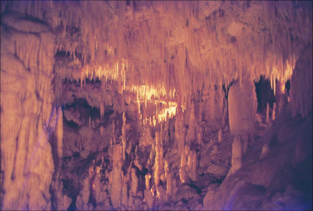 La fotografia è parte della ricca raccolta fotografica “Puglia per tutte le Stagioni” vol. 2, prodotta dall'Assessorato al Turismo e Industria Alberghiera della Regione Puglia, per raccontare la Puglia attraverso immagini suddivise in 5 settori principali: Città e Paesi, Settimana Santa, Territorio, Feste – Sagre – Tradizioni, Mercati – Prodotti – Cucina. L'immagine digitale è una scansione di una fotografia scattata in presenza di poca luce in uno dei passaggi delle Grotte di Castellana. La suggestiva inquadratura permette al fruitore di vivere la sensazione di una visita all'interno delle grotte, queste risalenti al Cretaceo superiore (novanta-cento milioni di anni fa), scendono ad una profondità media di 70 metri. Il complesso speleologico più importante di Italia e ...