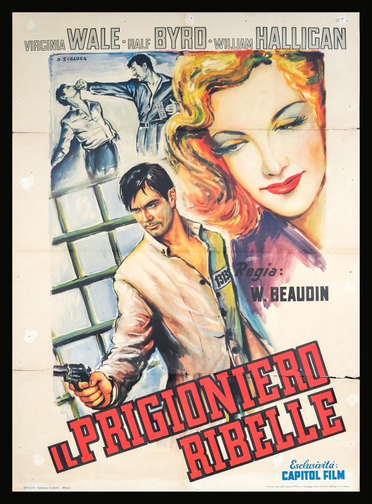 L'immagine riproduce uno dei manifesti conservati presso la Mediateca Regionale Pugliese (vedi Note). Si tratta di uno dei manifesti del film “Fulmine a Broadway - Il prigioniero ribelle” del 1942 per la regia di William Beaudine. La firma che si legge è dell’illustratore Scalora S. che riesce a rendere la composizione ricca di indizi per immaginare la trama poliziesca del film. Notiamo infatti la presenza della cella sullo sfondo o una etichetta con un numero sulla giacca di un protagonista che impugna una pistola puntata non si sa verso chi. In alto a destra il bellissimo volto di Virginia Wale che dà colore al manifesto, in contrasto con il grigio monocromo della scena sulla sinistra che immortala uno scontro a mani nude fra due uomini....