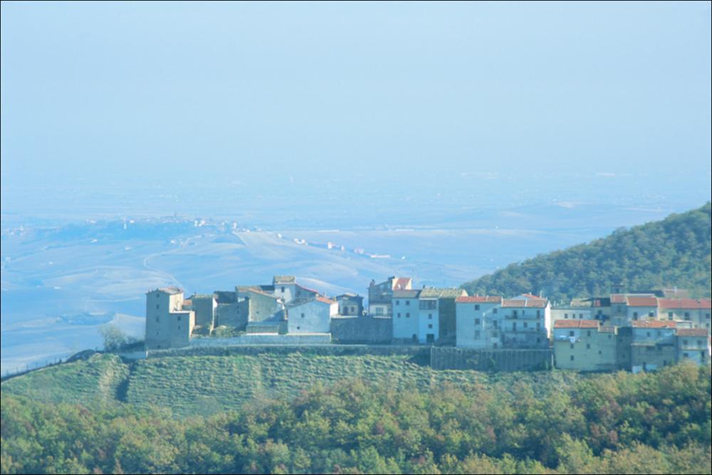 La fotografia è parte della ricca raccolta fotografica “Puglia per tutte le Stagioni” vol. 2, prodotta dall'Assessorato al Turismo e Industria Alberghiera della Regione Puglia e creata per raccontare la Puglia attraverso immagini diverse suddivise in 5 settori principali: Città e Paesi, Settimana Santa, Territorio, Feste – Sagre – Tradizioni, Mercati – Prodotti – Cucina. L'immagine immortala il panorama del piccolo comune - di soli 177 abitanti - di Celle di San Vito, in provincia di Foggia. Il toponimo è da far risalire alla presenza di un cenobio, utilizzato come residenza estiva dai monaci benedettini del convento di San Nicola, e al piccolo santuario dedicato a San Vito, situato sull'omonimo monte che sovrasta il paese. La tradizione vuole che il cenobio restò vuoto...