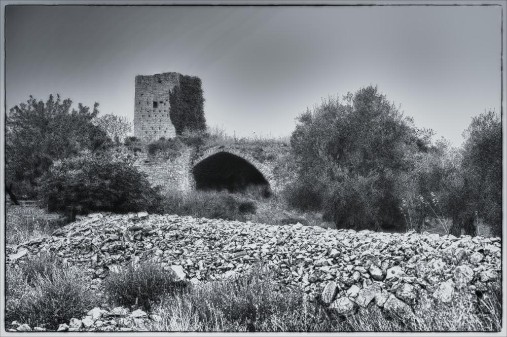 La fotografia è parte di una più ampia raccolta di fotografie realizzate per il progetto di censimento di 248 masserie pugliesi avviato da Giancarlo Chielli, professore del corso in Beni Culturali e Ambientali presso l'Accademia di Belle Arti di Bari. Il lavoro svolto ha dato vita al volume “Le masserie di Puglia come Bene Culturale” in cui sono presenti alcuni scatti di masserie pugliesi tra cui quella in oggetto. L'immagine digitale è una ampia veduta di Masseria Torre Villotta, nell'agro di Molfetta, nella quale spicca la torre a due piani, il primo nucleo architettonico originario del XII secolo. Notevole è il modello costruttivo ben visibile ancora oggi, formato da conci di pietra calcarea squadrati e sbozzati con molta cura. La torre alta circa 10 metri a pianta q...