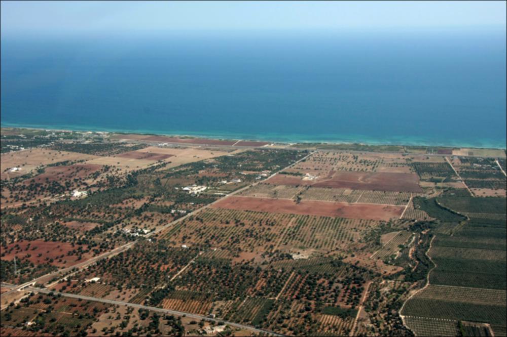 Il comune di Ostuni, rientra nell'ambito paesaggistico della Murgia dei Trulli, si presenta come un esteso altopiano calcareo compreso fra la Terra di Bari, l'Arco Jonico tarantino, il Salento e il Mare Adriatico. Il comprensorio costiero dell'ambito in cui ricade Ostuni, presenta una fascia costiera profonda, prevalentemente pianeggiante, con una consistenza rocciosa di natura calcarea. Il litorale è abbastanza lineare e presenta delle articolazioni in presenza di processi erosivi localizzati, ad opera del carsismo e dell'azione del mare, che restituiscono un effetto di fine merlatura. I tratti di costa rocciosa alta sono caratterizzati da scogliere e falesie, con dislivelli che non superano mai i 12 m di quota, ma da Polignano a Torre Canne la morfologia costiera divi...