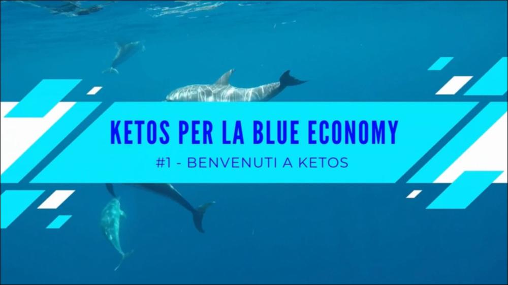 In questo video documentario sono presentati brevi lezioni di carattere scientifico realizzate nell’ambito del progetto” Ketos per la Blue Economy” durante il mese di giugno 2022 dal team dell’Associazione Jonian Dolphin Conservation.
Il video ha inizio con la presentazione di KETOS, il Centro Euromediterraneo del Mare e dei Cetacei. Si passa alla descrizione geomorfologica del Golfo di Taranto, l’area di ricerca della Jonian Dolphin Conservation. Vengono illustrate le caratteristiche principali dei cetacei, e in particolare delle cinque specie osservate prevalentemente nel Golfo di Taranto. Viene inoltre descritto l’importante ritrovamento di un esemplare di zifio, avvenuto presso l'Isola di San Pietro (Isole Cheradi) nel dicembre 2019, una specie piuttosto rara negli ...