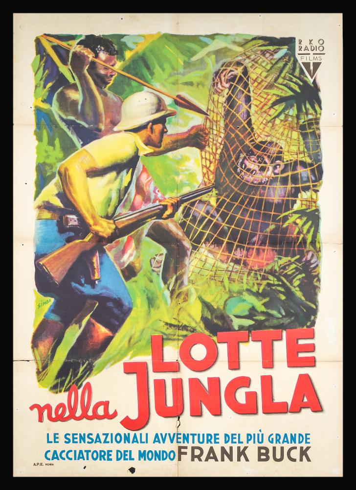 “Lotte nella jungla” (titolo originale “Fang and Claw”) è un documentario d'avventura del 1935 diretto e con protagonista Frank Buck, uscito in Italia nel 1948, in cui Buck fa dimostrazione dei metodi ingegnosi con cui cattura uccelli selvatici, mammiferi e rettili nello Johore, in Malesia.
Il manifesto cinematografico del documentario è firmato “simba”, pseudonimo del celebre illustratore
Nicola Simbari. Pittore di fama internazionale, seppe distinguersi per la «freschezza del suo tratto e la velocità di modellato» (Baroni, 2018). Le sue opere si riconoscono per l'uso vitale ed espressivo del colore che crea effetti di luce sensazionali, dando vita ad una composizione narrativa fortemente dinamica.
Il manifesto originale è conservato nell’Archivio della Mediateca Regio...