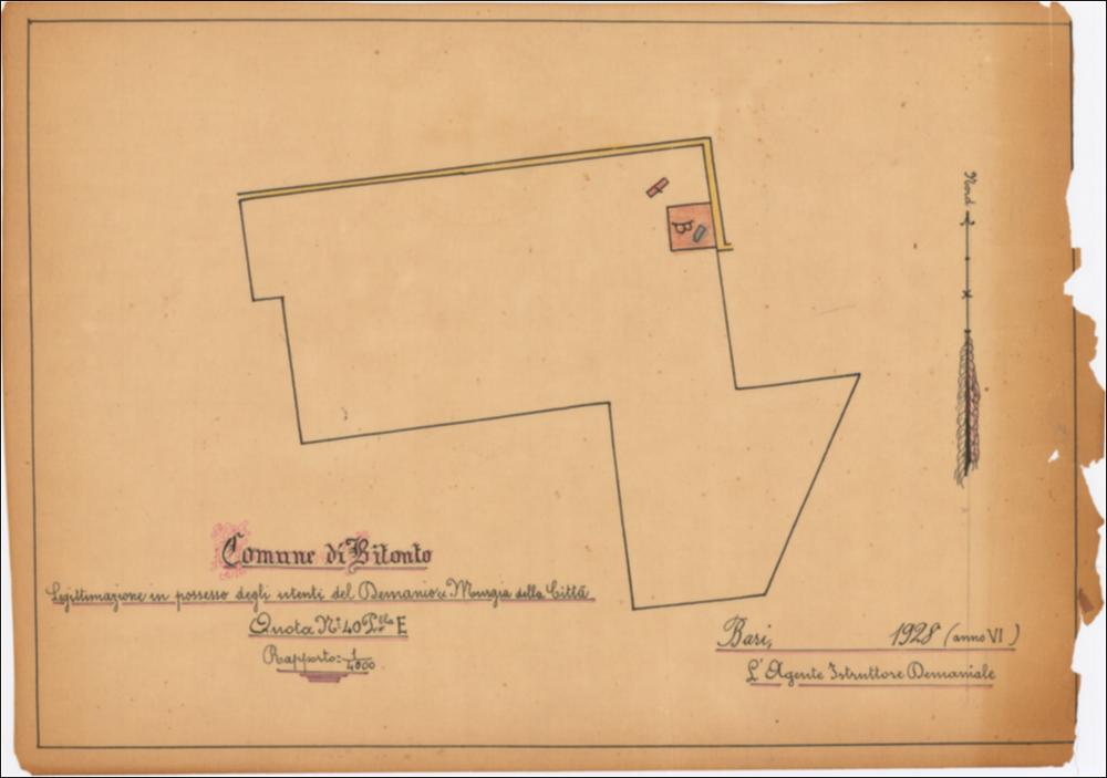 Disegno a colori, datato 1928, redatto dall'agente istruttore demaniale Raffaele Sabato. La Quota n.° 40 p.lla E del Demanio Murgia della Città domina il documento cartografico, mentre in basso trovasi le indicazione testuali e sulla destra l'orientamento rappresentato da una semplice freccia.