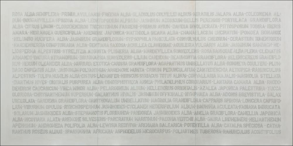 “La sposa occidentale", qui riprodotta in formato digitale, è un'opera dell'artista pugliese Giuseppe Patruno, o meglio Pippo Patruno come è conosciuto e soprannominato, anche nell'ambiente dell'Accademia di Belle Arti di Bari, dove esercita attualmente il ruolo di docente di Anatomia Artistica. L'opera si inserisce nella più recente fase creativa in cui l'artista sceglie la scrittura per dar forma al significato. Soprattutto “La sposa occidentale” è espressione di un lavoro “più mentale”, nel quale il linguaggio sostituisce l'immagine e la rappresentazione della realtà. È infatti composto da una sequenza di nomi latini dei fiori, che per Patruno però non sono il richiamo alle cose, cioè ai fiori stessi, ma all'idea che se ne ha nella propria mente. La tela è concepita ...