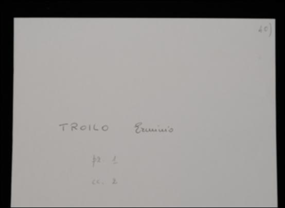 Nella lettera, Erminio Troilo propone all'editore la pubblicazione del volume ancora inedito.
