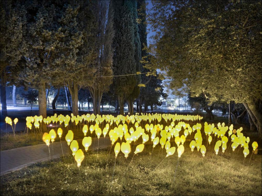 Lo scatto fotografico riprende l’installazione “Flowers”, opera dell’artista francese Sophie Guyot, collocata presso Villa Donnaloja ad Alberobello. L’installazione presenta un mare di fiori, fatto di plastica riciclata e dotato di luci a LED, che crea l’illusione di un prato luminoso. La Guyot affronta il tema della fragilità della natura, ma vuole sottolinearne, al contempo, la forza rigeneratrice. 
L’installazione è stata realizzata nell’ambito della seconda edizione del Life - Alberobello Light Festival 2017 che ha illuminato il centro cittadino e alcuni dei suoi luoghi più caratteristici dal 30 settembre all’8 ottobre.
Il Festival è organizzato da Lightcones e Agit - Associazione Giovani Imprenditori del Turismo, responsabili rispettivamente della direzione artisti...
