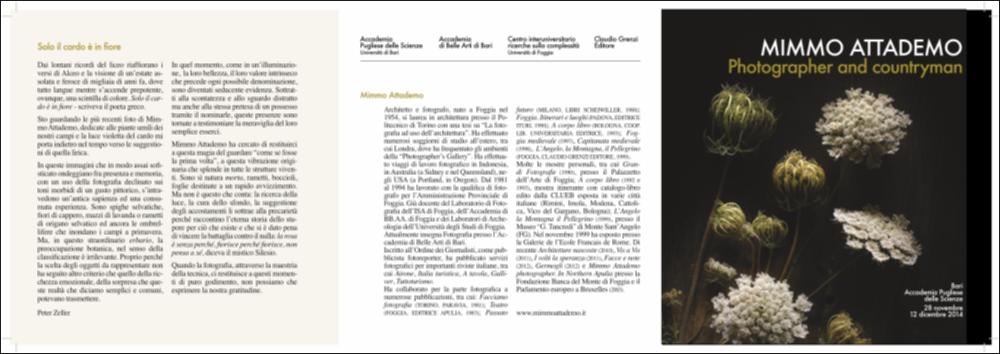 La risorsa digitale è la brochure di presentazione della raccolta fotografica "Sic transit", ideata nel 2015 all'interno della Cattedra di Fotografia dell'Accademia di Belle Arti di Bari dal Prof. Mimmo Attademo. Il progetto, concepito come un erbario dei nostri giorni, esalta la bellezza e il valore naturalistico di alcune piante e fiori della macchia mediterranea che contraddistinguono alcune aree territoriali della Puglia. Il testo introduttivo è scritto dal professor Peter Zeller, membro dell'European Society for the History of Science, architetto del paesaggio IFLA e socio ordinario dell'AIAPP (Associazione italiana di architettura del paesaggio), studioso di biodiversità, tecniche colturali e argomenti storico-paesaggistici. La lettura dello Zeller ha riferimenti ...