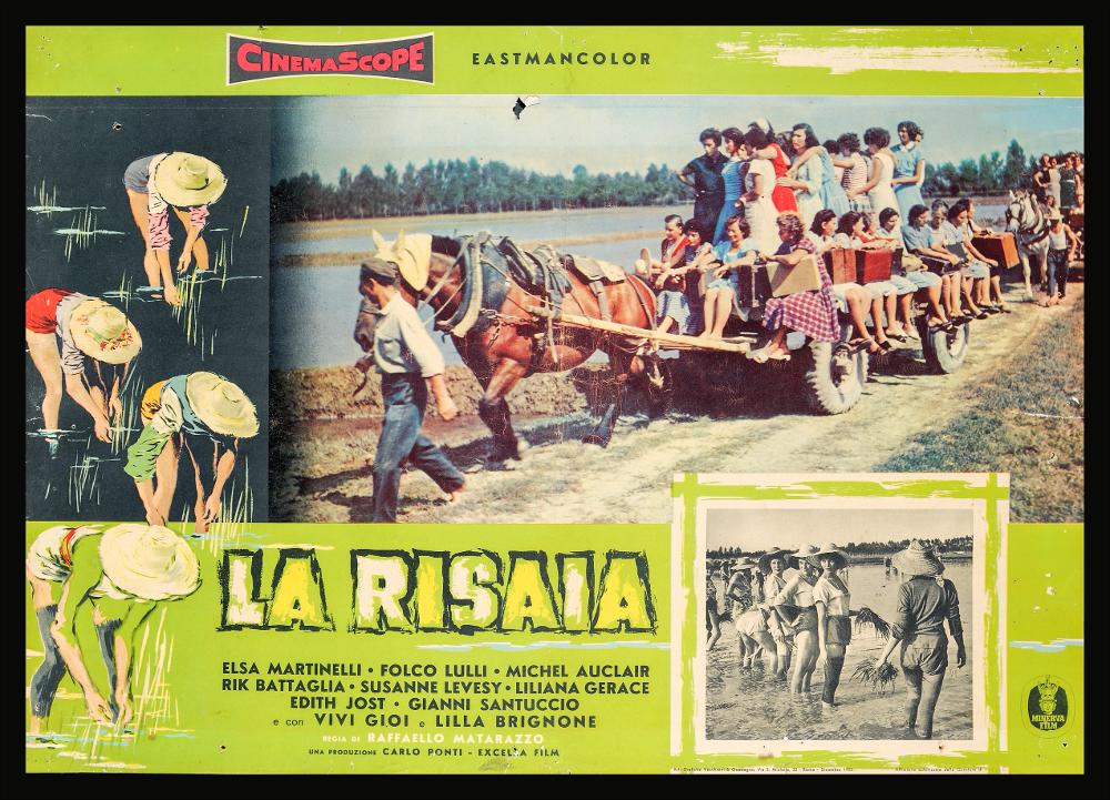 “La risaia” è un film melodrammatico del 1956 diretto da Raffaello Matarazzo, su sceneggiatura di Aldo De Benedetti, Ennio De Concini e Carlo Musso. Tra gli interpreti principali ricordiamo Elsa Martinelli, Folco Lulli. Michel Auclair, Rik Battaglia.
La fotobusta presenta due fotografie di scena del film, una più grande a colori e una di più piccole dimensioni, in bianco e nero, posizionata in basso a destra accanto al titolo del film. Le due fotografie sono incorniciate da un bordo verde chiaro con il titolo del film in basso e, sulla sinistra, dalla raffigurazione di quattro lavoranti chine nella risaia. Non è presente alcuna firma del disegnatore.
La fotobusta originale è conservata nell’Archivio della Mediateca Regionale Pugliese....