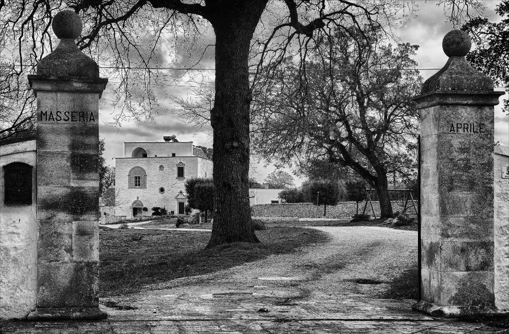 L'istantanea in oggetto, scattata in bianco e nero e successivamente post prodotta, fa parte di una più ampia raccolta di fotografie realizzate per il progetto di censimento di 248 masserie pugliesi avviato da Giancarlo Chielli, professore del corso in Beni Culturali e Ambientali presso l'Accademia di Belle Arti di Bari. Il lavoro svolto ha dato vita al volume “Le masserie di Puglia come Bene Culturale” in cui sono presenti alcuni scatti di masserie pugliesi tra cui questa presa in esame. In primo piano l'ingresso principale della masseria Aprile, caratterizzato da due grandi pilastri quadrangolari. Ben visibile sul pilastro di destra il cognome della famiglia proprietaria dell'edificio storico. Un sinuoso viale sterrato conduce al corpo principale della masseria visibi...